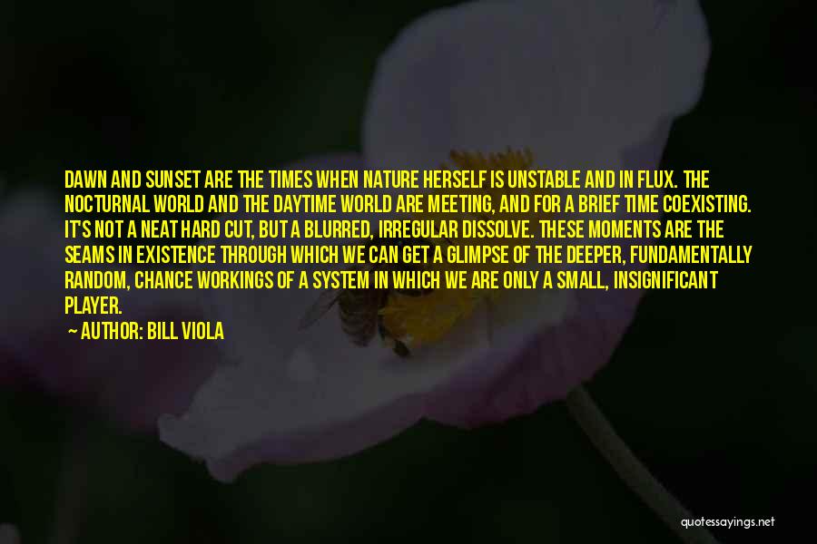 Coexisting With Nature Quotes By Bill Viola