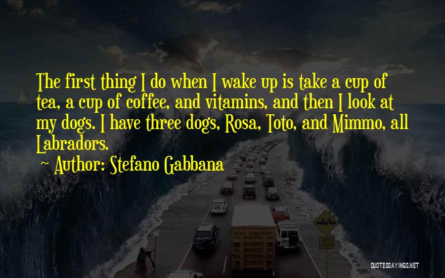 Coffee And Tea Quotes By Stefano Gabbana