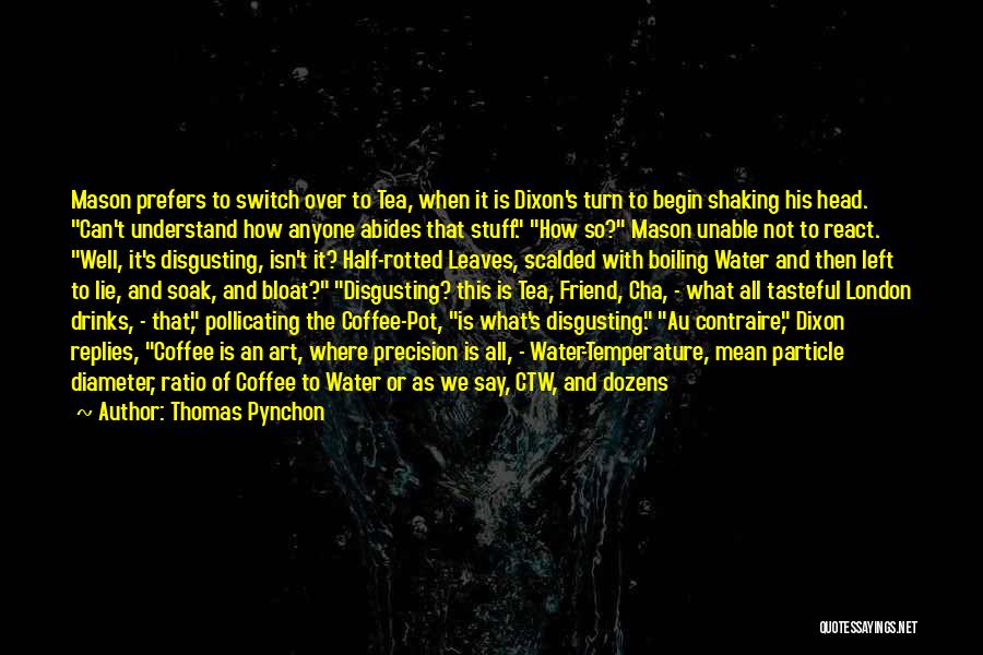 Coffee Drinks Quotes By Thomas Pynchon