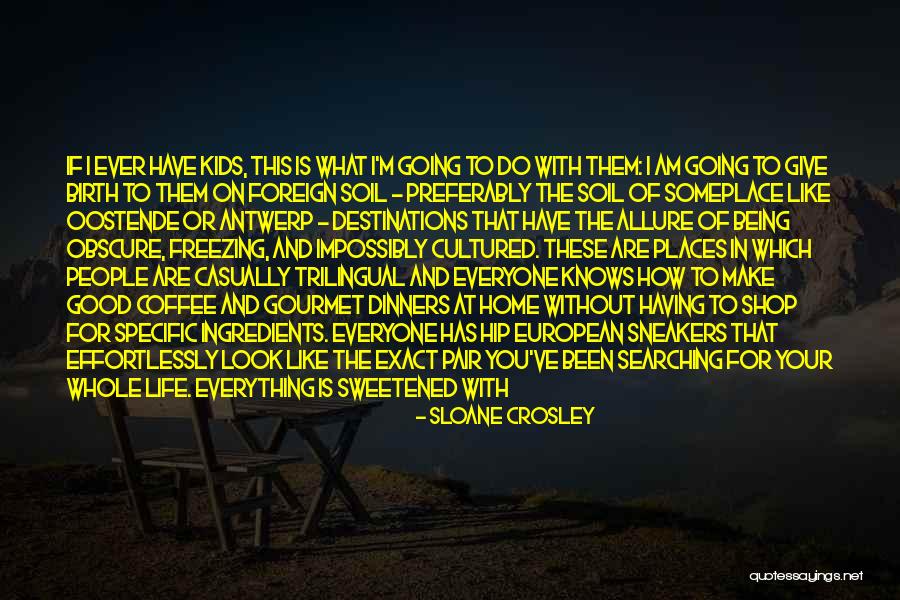 Coffee Shop Quotes By Sloane Crosley Coffee Shop Quotes By Sloane Crosley