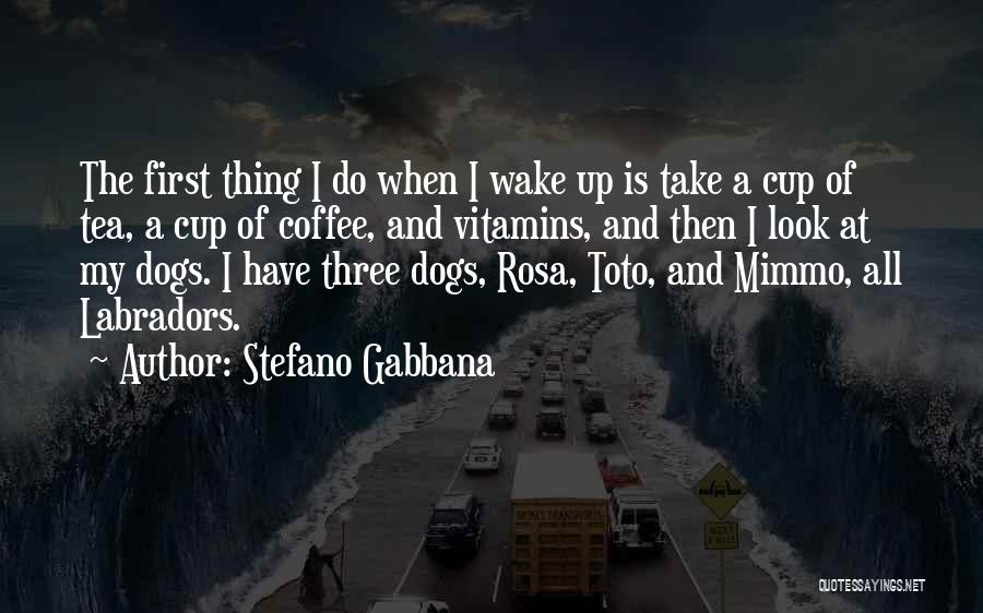 Coffee Wake Me Up Quotes By Stefano Gabbana