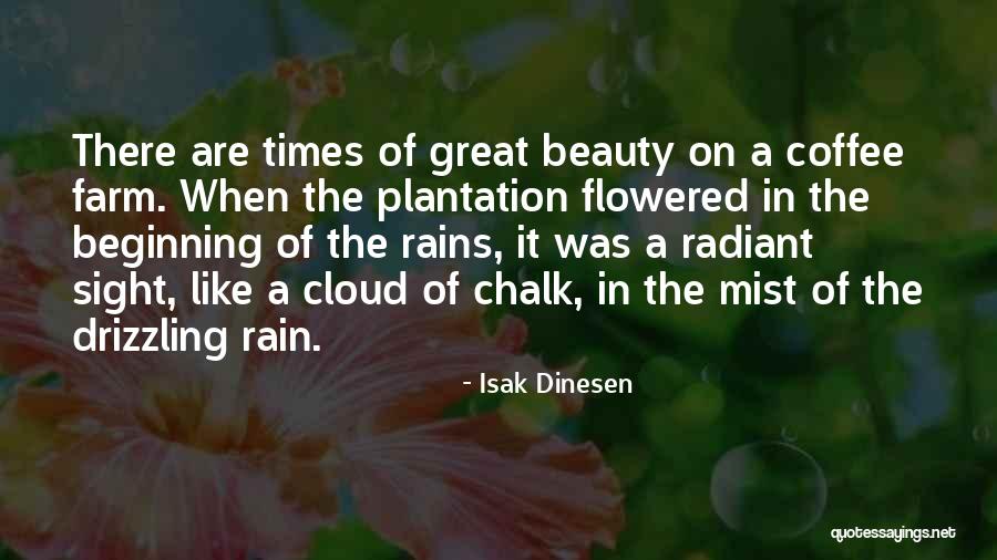 Coffee When It Rains Quotes By Isak Dinesen