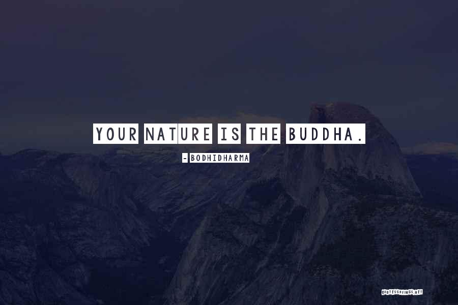 Cogitare Et Risu Quotes By Bodhidharma Cogitare Et Risu Quotes By Bodhidharma