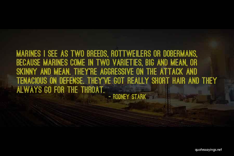 Cogsworth Disney Quotes By Rodney Stark Cogsworth Disney Quotes By Rodney Stark