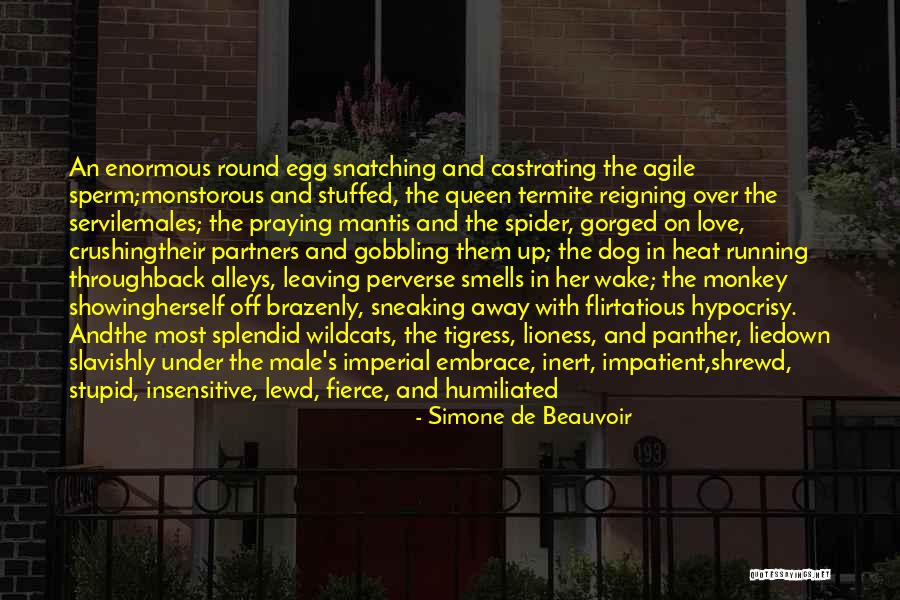 Coh Panther Quotes By Simone De Beauvoir Coh Panther Quotes By Simone De Beauvoir