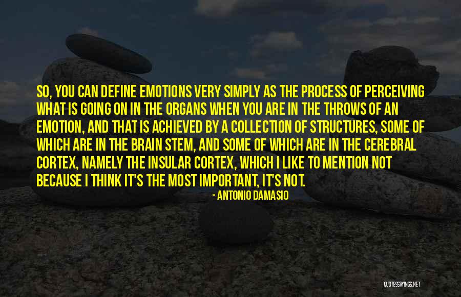 Cohanim Quotes By Antonio Damasio Cohanim Quotes By Antonio Damasio