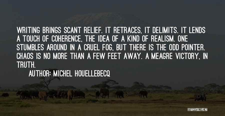 Coherence In Writing Quotes By Michel Houellebecq