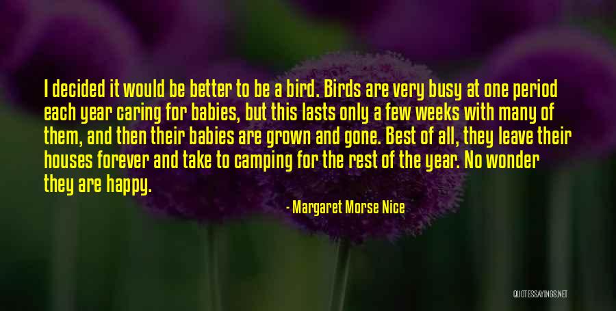 Coign Capital Quotes By Margaret Morse Nice Coign Capital Quotes By Margaret Morse Nice