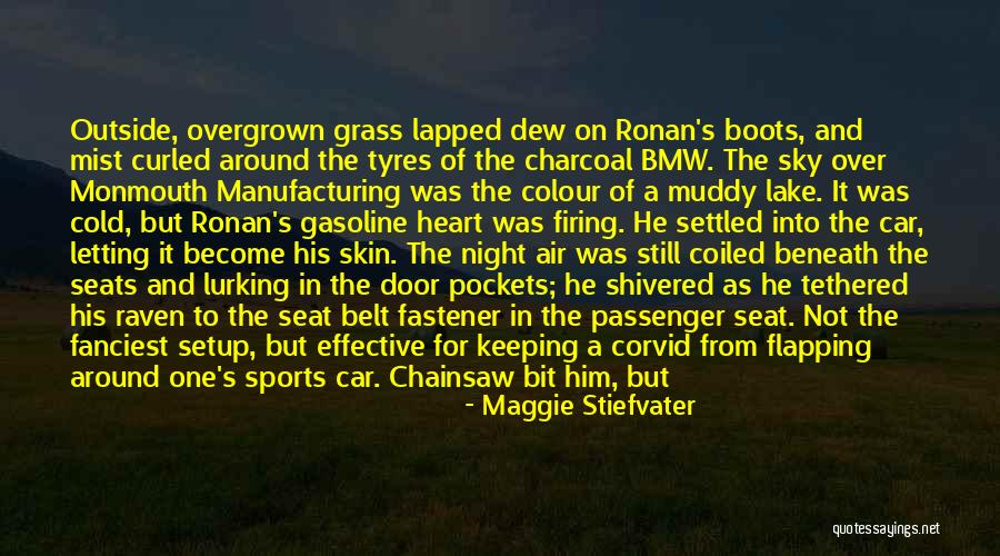 Coiled Air Quotes By Maggie Stiefvater Coiled Air Quotes By Maggie Stiefvater