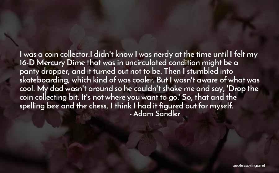 Coin Collector Quotes By Adam Sandler Coin Collector Quotes By Adam Sandler