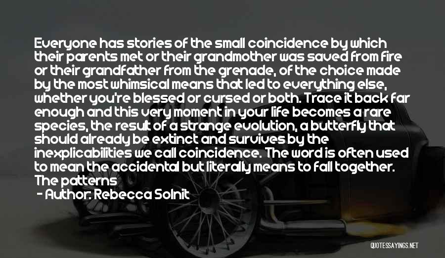 Coincidence Or Not Quotes By Rebecca Solnit