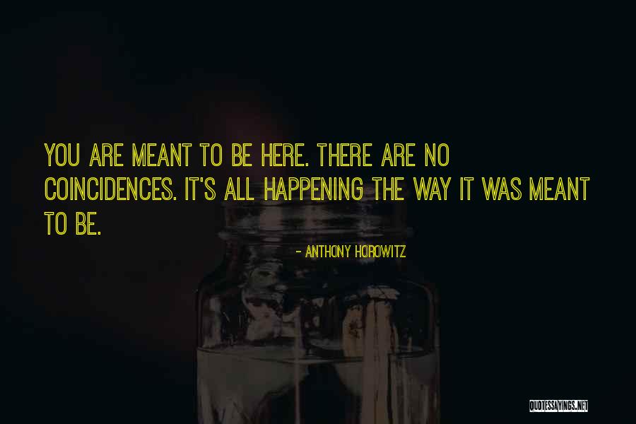 Coincidences Quotes By Anthony Horowitz