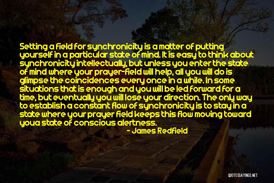 Coincidences Quotes By James Redfield