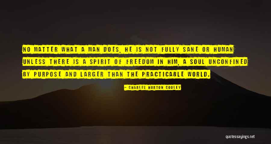 Coincidenze Accadono Quotes By Charles Horton Cooley Coincidenze Accadono Quotes By Charles Horton Cooley