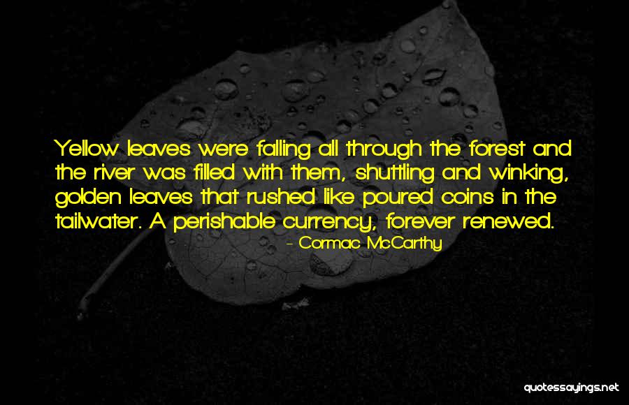 Coins With Quotes By Cormac McCarthy Coins With Quotes By Cormac McCarthy
