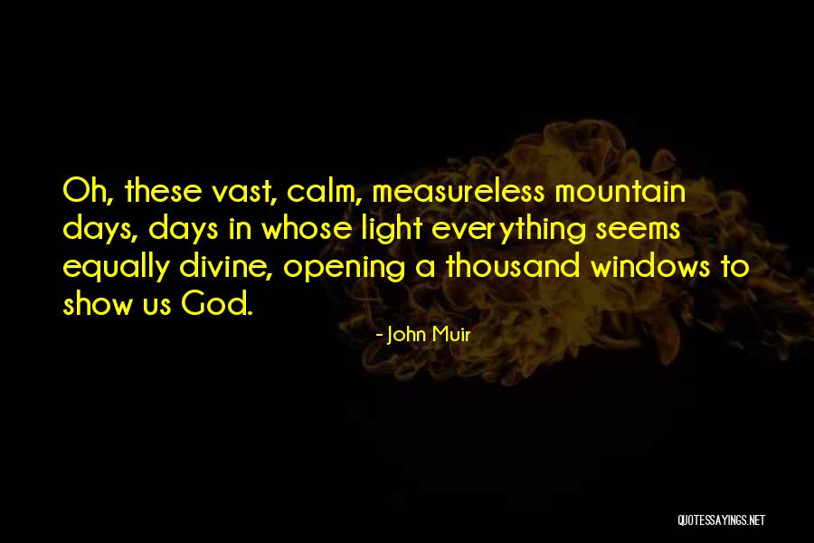 Cojonudo Definicion Quotes By John Muir Cojonudo Definicion Quotes By John Muir