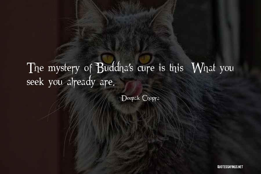 Colalillo Rapper Quotes By Deepak Chopra Colalillo Rapper Quotes By Deepak Chopra
