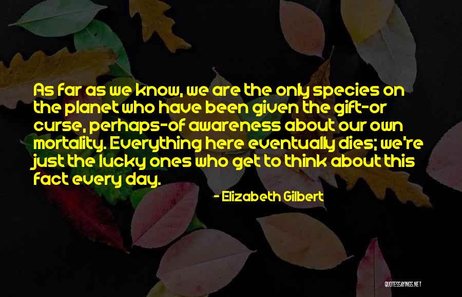 Colander In Italian Quotes By Elizabeth Gilbert Colander In Italian Quotes By Elizabeth Gilbert