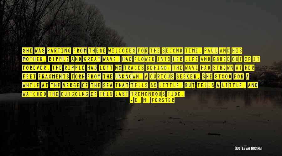 Colaris Plus Quotes By E. M. Forster Colaris Plus Quotes By E. M. Forster