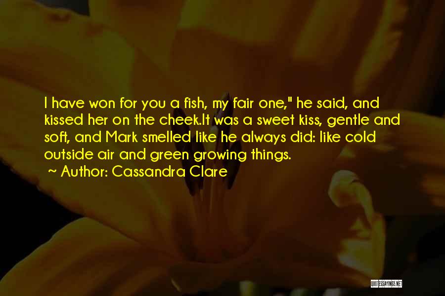 Cold Air Quotes By Cassandra Clare