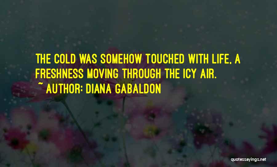 Cold Air Quotes By Diana Gabaldon