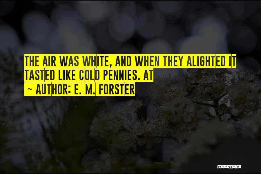 Cold Air Quotes By E. M. Forster