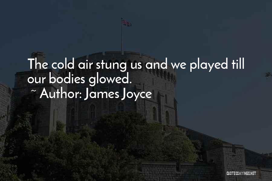 Cold Air Quotes By James Joyce