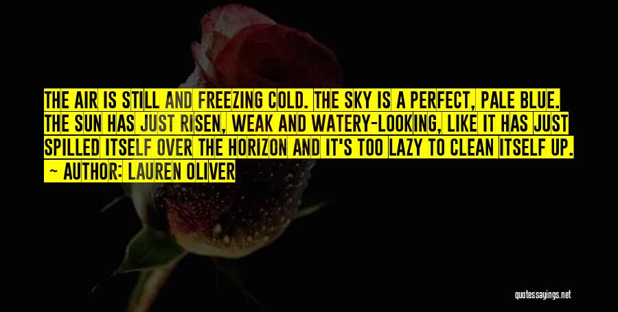 Cold Air Quotes By Lauren Oliver