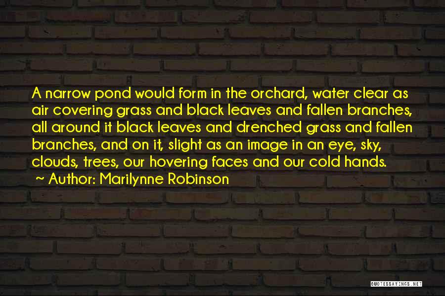 Cold Air Quotes By Marilynne Robinson