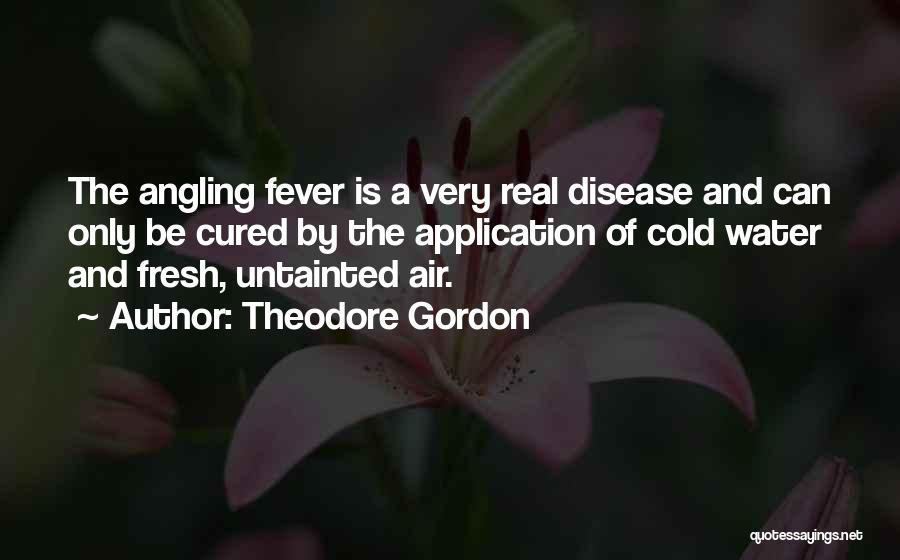 Cold Air Quotes By Theodore Gordon
