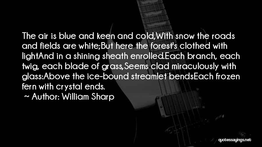 Cold Air Quotes By William Sharp