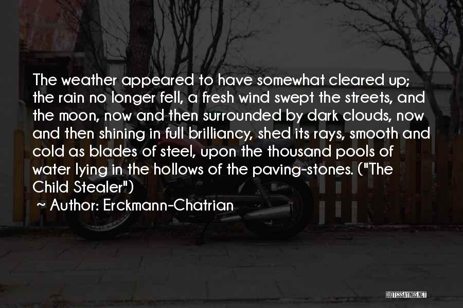 Cold And Dark Quotes By Erckmann-Chatrian