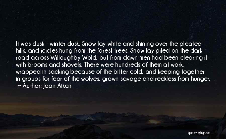 Cold And Dark Quotes By Joan Aiken