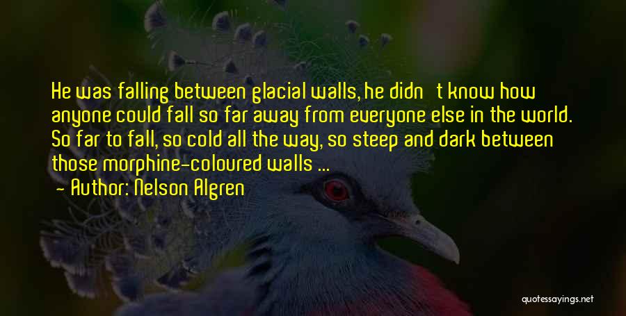 Cold And Dark Quotes By Nelson Algren