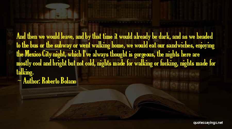 Cold And Dark Quotes By Roberto Bolano