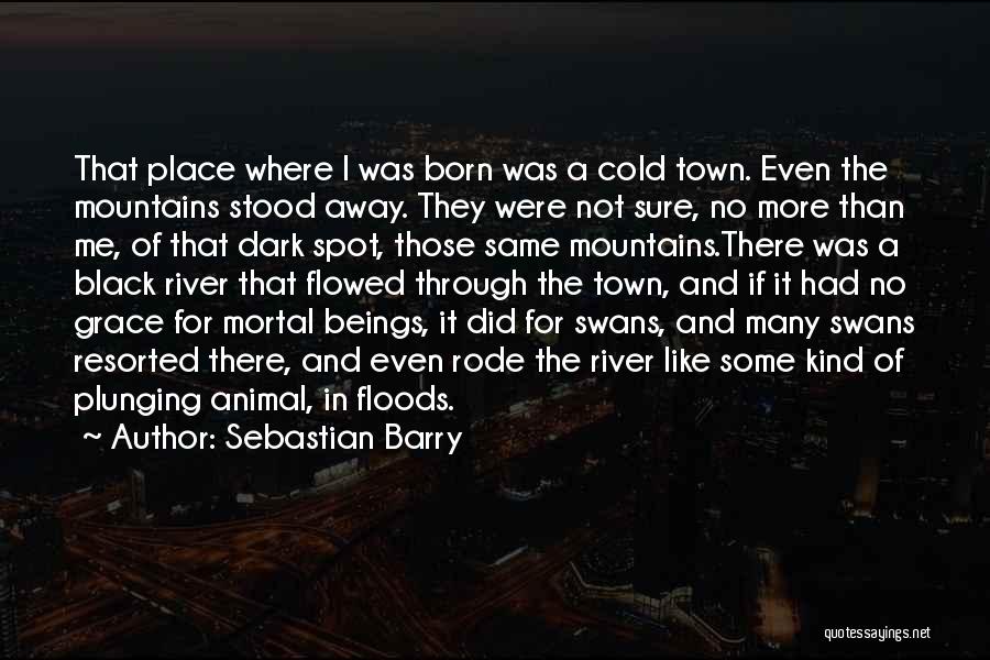 Cold And Dark Quotes By Sebastian Barry