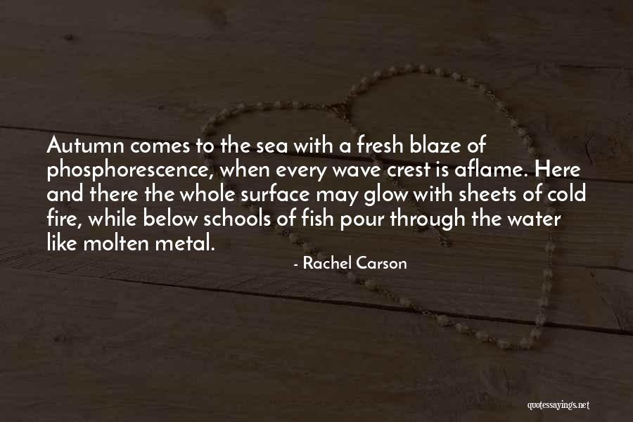 Cold And Fire Quotes By Rachel Carson Cold And Fire Quotes By Rachel Carson