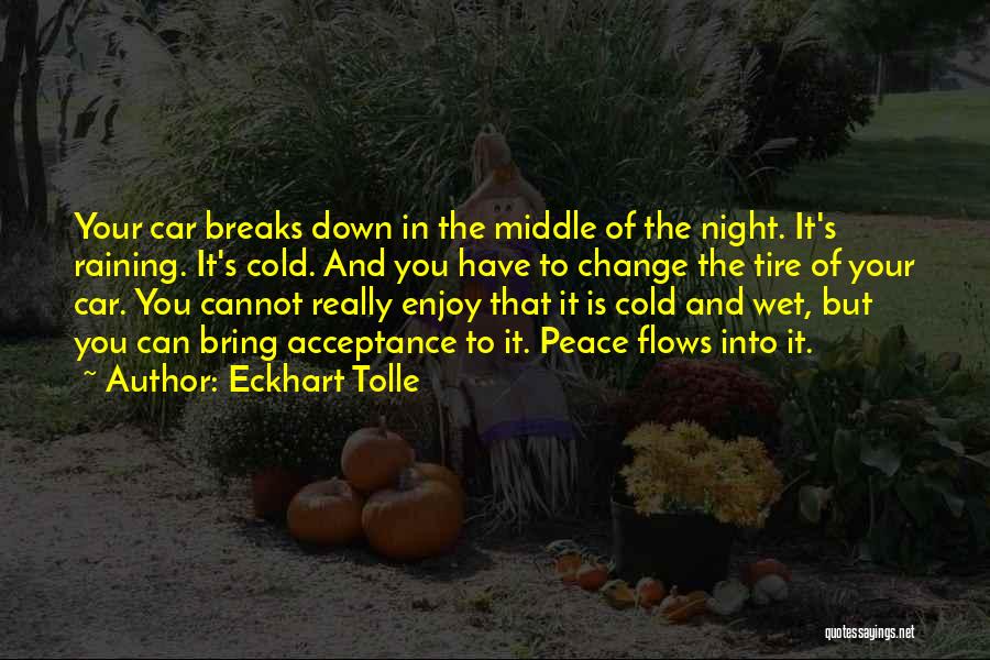 Cold And Rain Quotes By Eckhart Tolle