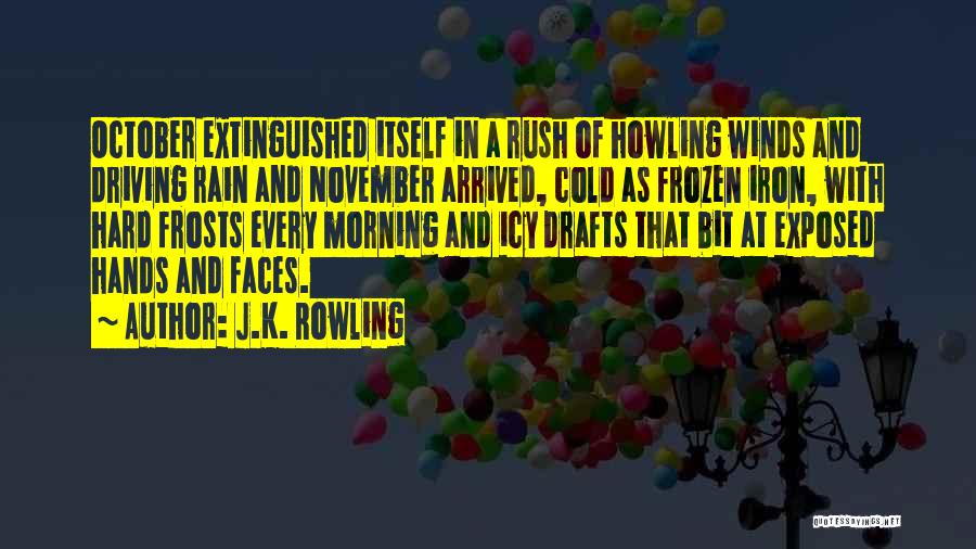 Cold And Rain Quotes By J.K. Rowling