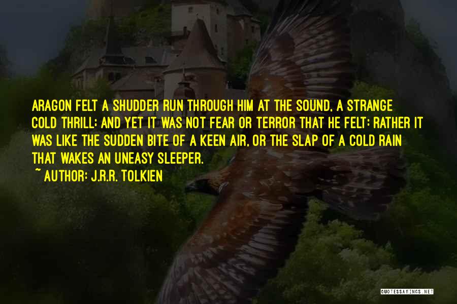 Cold And Rain Quotes By J.R.R. Tolkien