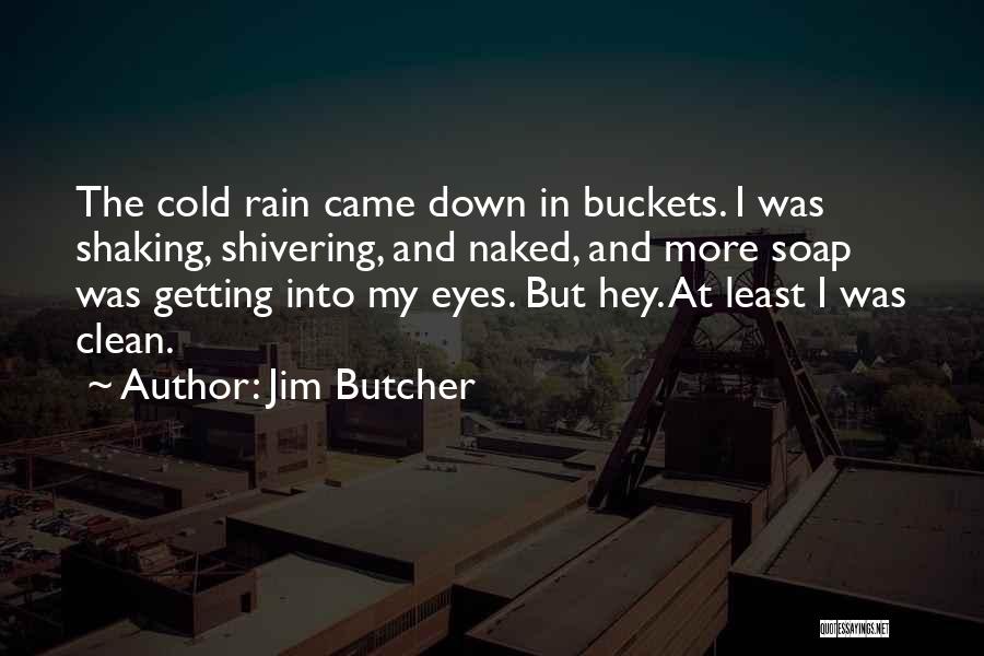 Cold And Rain Quotes By Jim Butcher