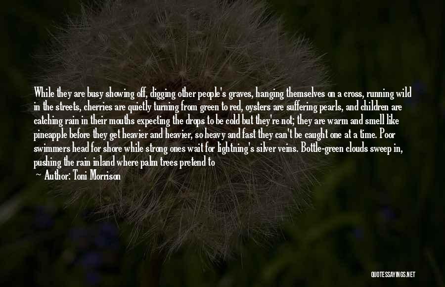 Cold And Rain Quotes By Toni Morrison