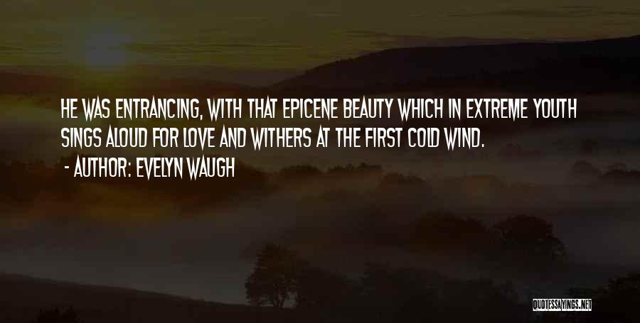 Cold And Wind Quotes By Evelyn Waugh