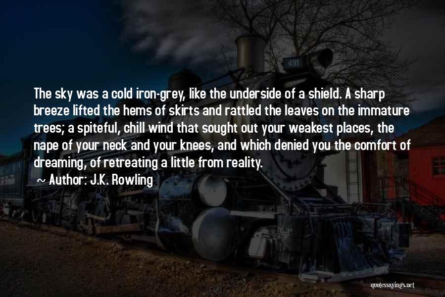 Cold And Wind Quotes By J.K. Rowling