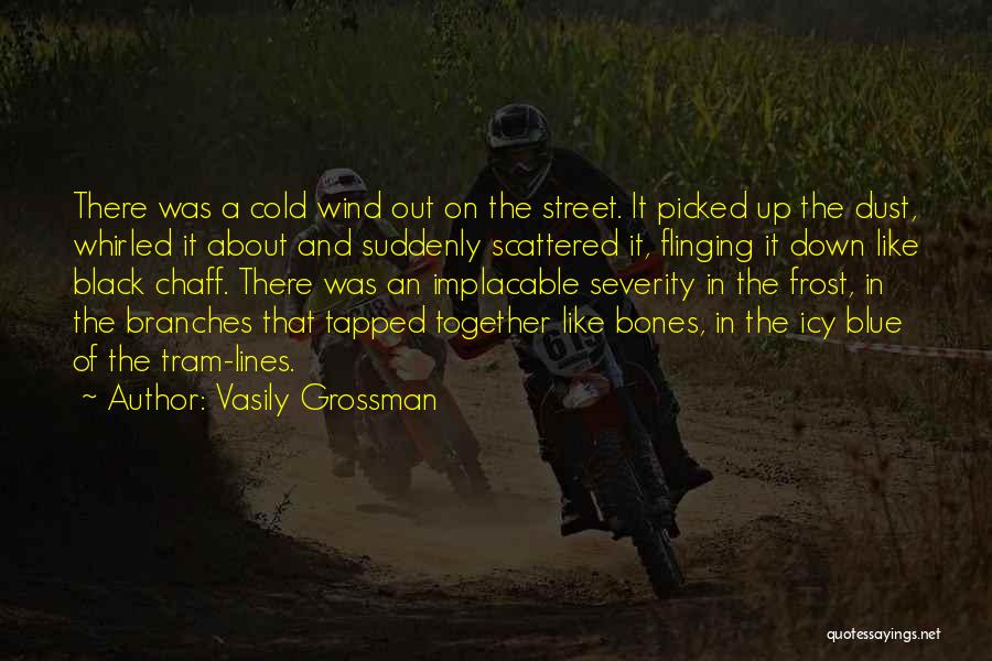 Cold And Wind Quotes By Vasily Grossman