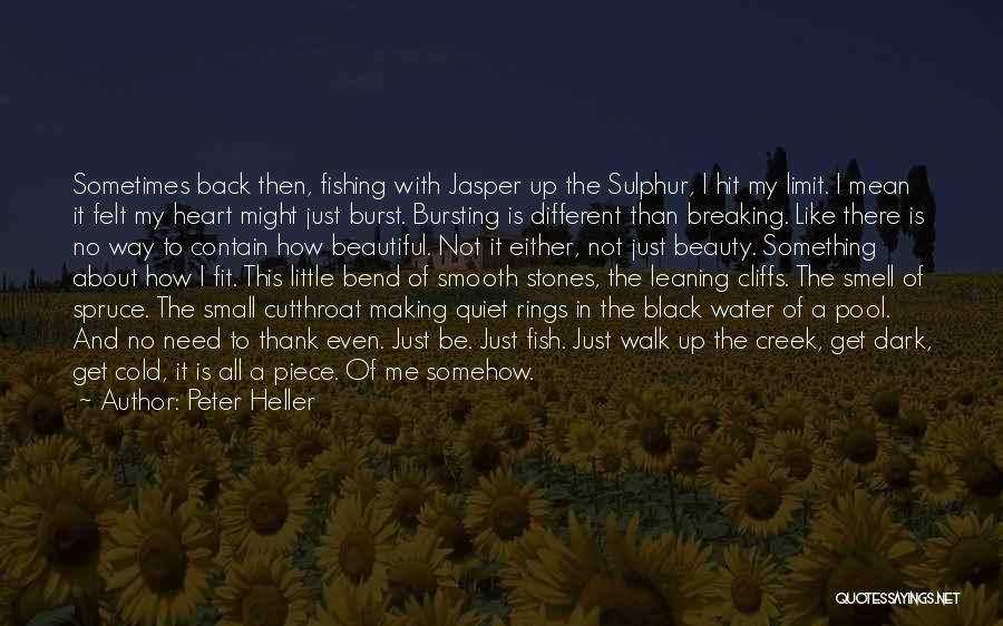 Cold Black Heart Quotes By Peter Heller