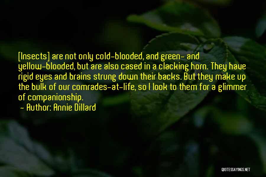 Cold Blooded Quotes By Annie Dillard