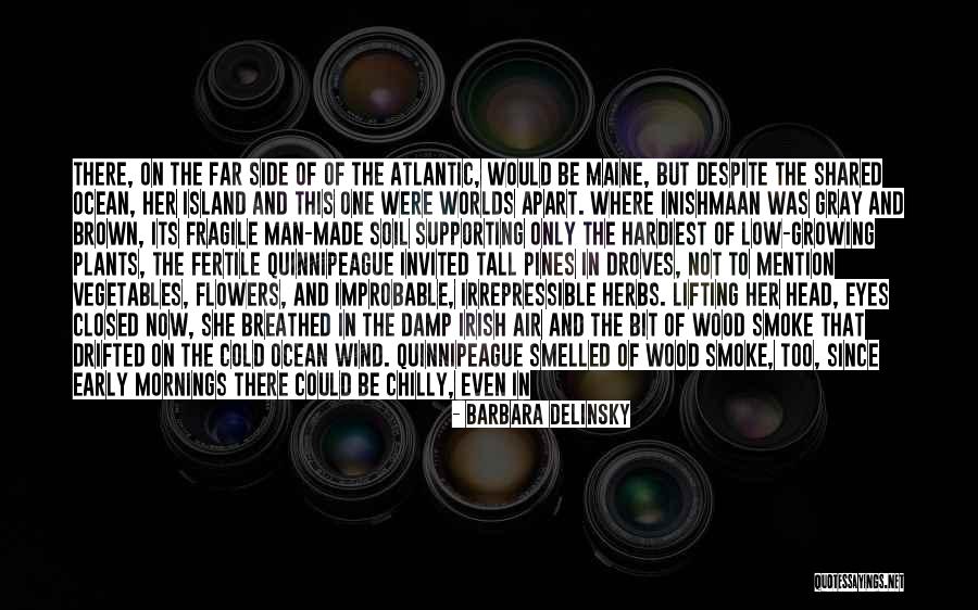 Cold Chilly Quotes By Barbara Delinsky Cold Chilly Quotes By Barbara Delinsky