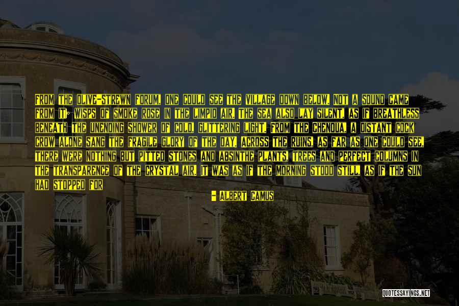 Cold Day Quotes By Albert Camus Cold Day Quotes By Albert Camus