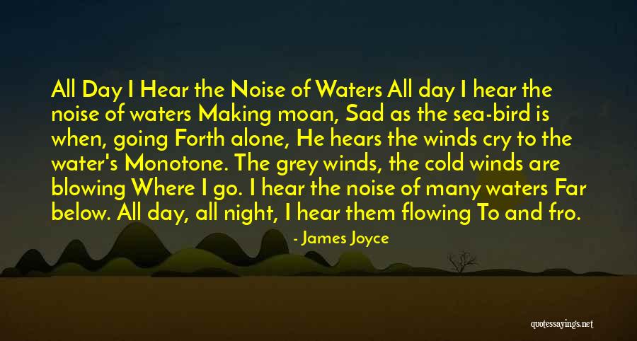 Cold Day Quotes By James Joyce Cold Day Quotes By James Joyce